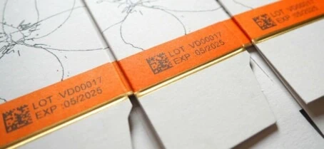 View Rewind, Play, Fast Foward: Coding Past, Present and Future