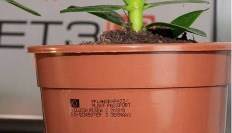 EU Plant Passport