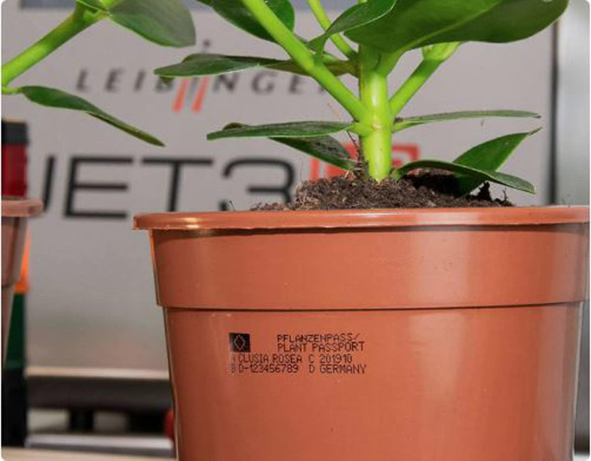 Plant EU passport